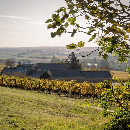 مبيت وإفطار Panzoult Domaine Beausejour المظهر الخارجي الصورة