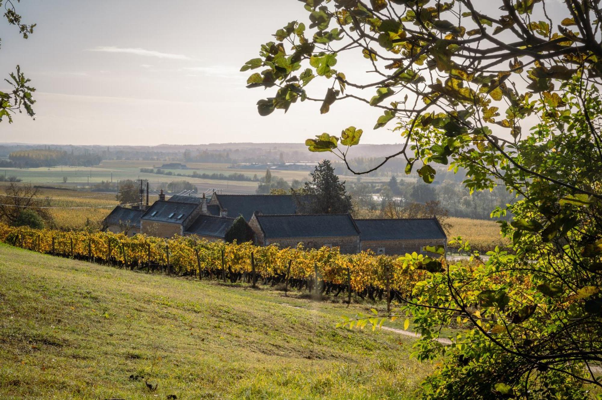مبيت وإفطار Panzoult Domaine Beausejour المظهر الخارجي الصورة