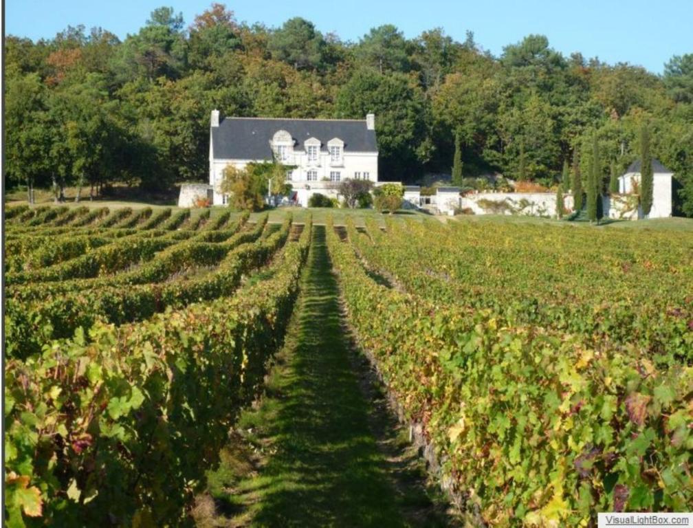 مبيت وإفطار Panzoult Domaine Beausejour المظهر الخارجي الصورة